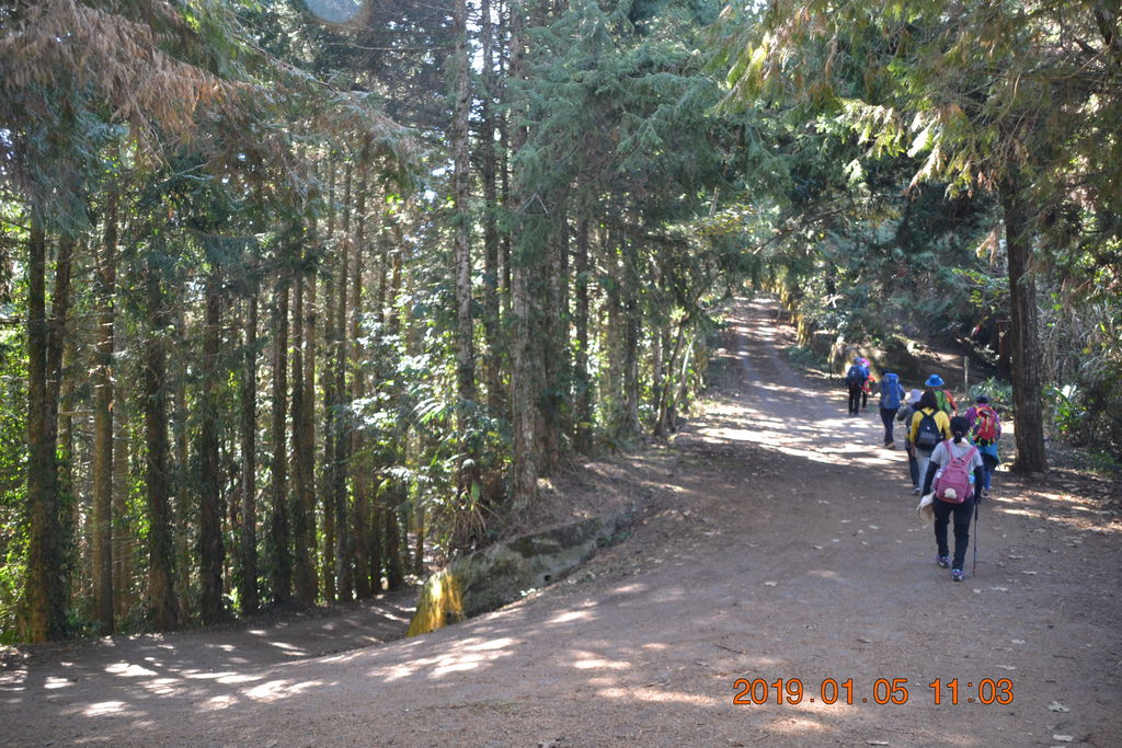 DSC_0105 DSC_0105