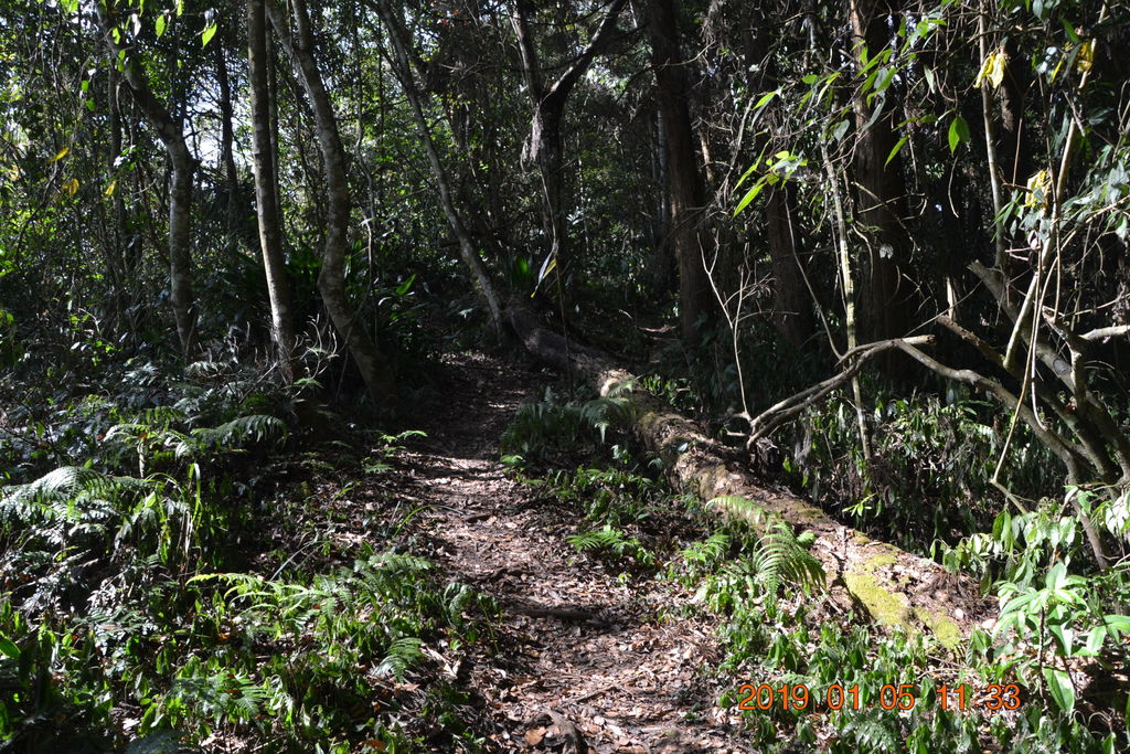 DSC_0114 DSC_0114