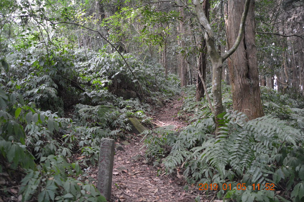 DSC_0117 DSC_0117