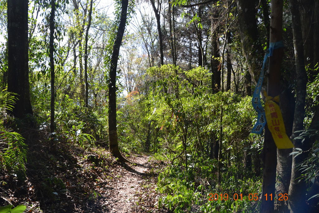 DSC_0112 DSC_0112