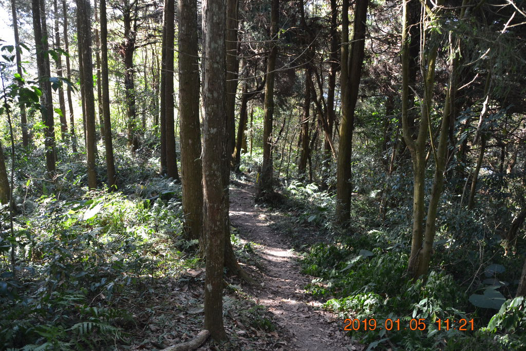 DSC_0111 DSC_0111
