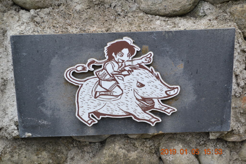 DSC_0184 DSC_0184