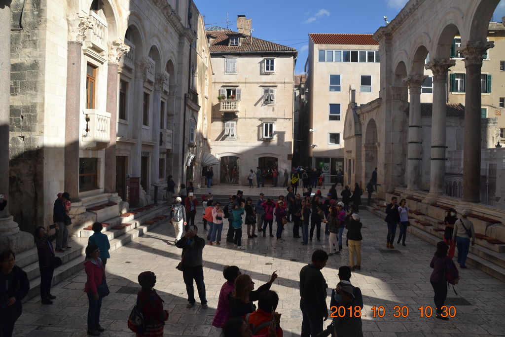 DSC_0196 DSC_0196