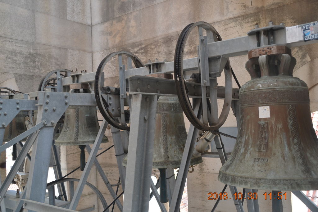 DSC_0247 DSC_0247