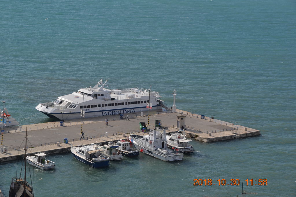 DSC_0262 DSC_0262