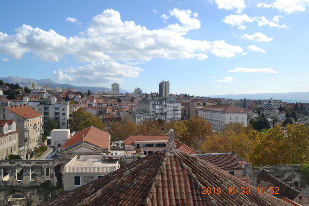 DSC_0251 DSC_0251