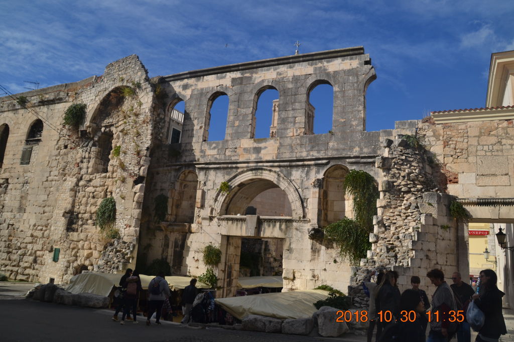 DSC_0233 DSC_0233