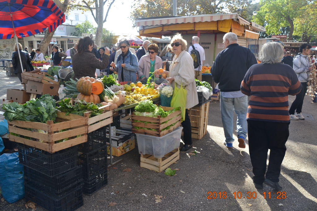DSC_0231 DSC_0231