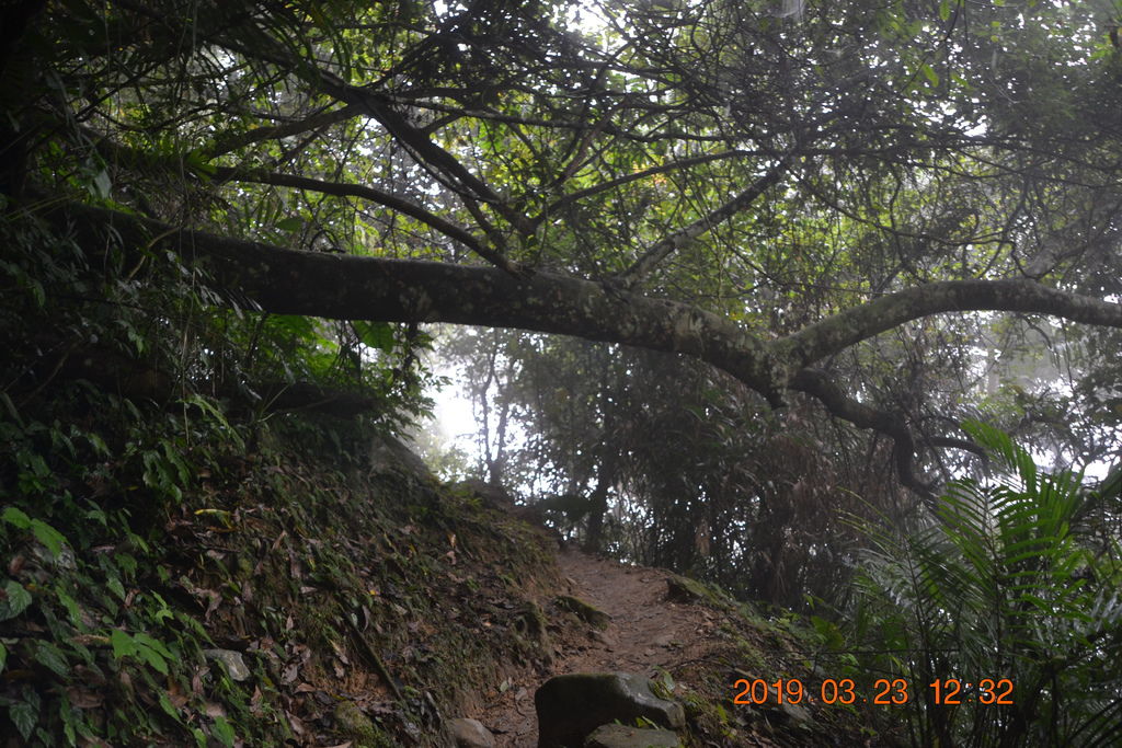 DSC_0040 DSC_0040