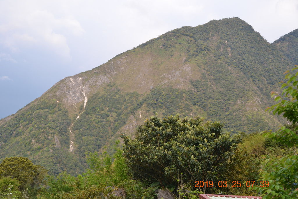 DSC_0216 DSC_0216