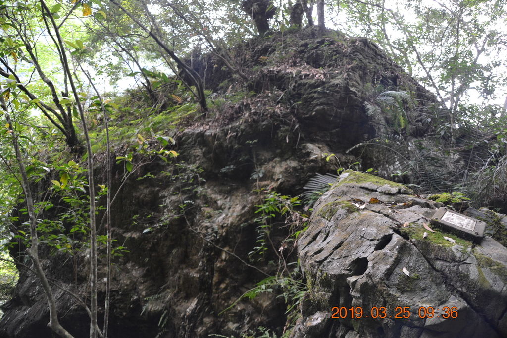 DSC_0226 DSC_0226
