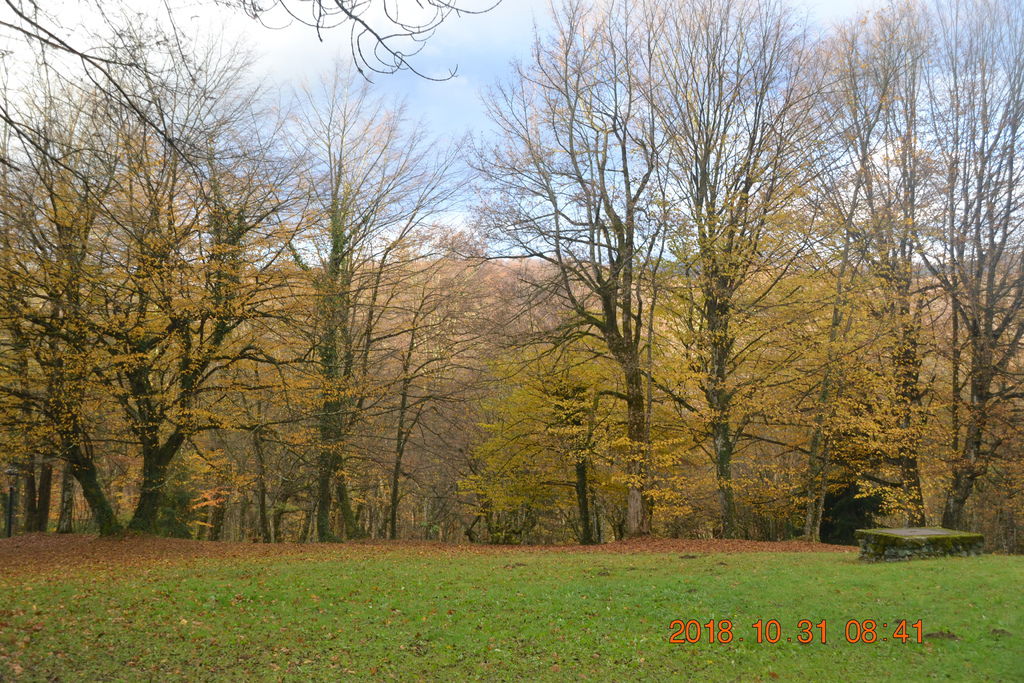 DSC_0346 DSC_0346