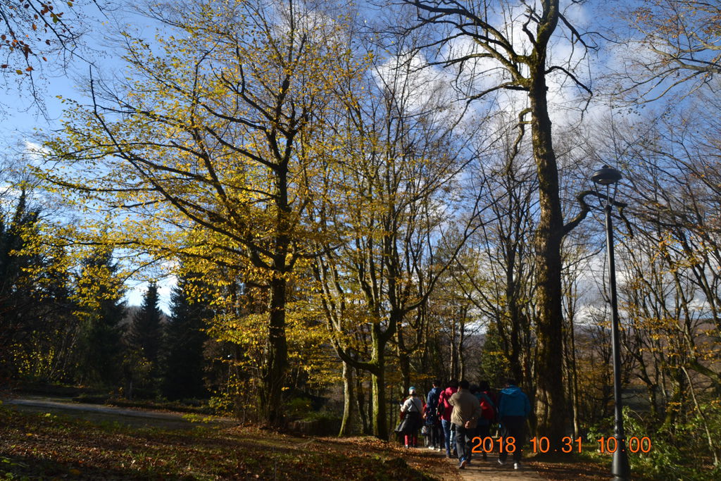 DSC_0366 DSC_0366