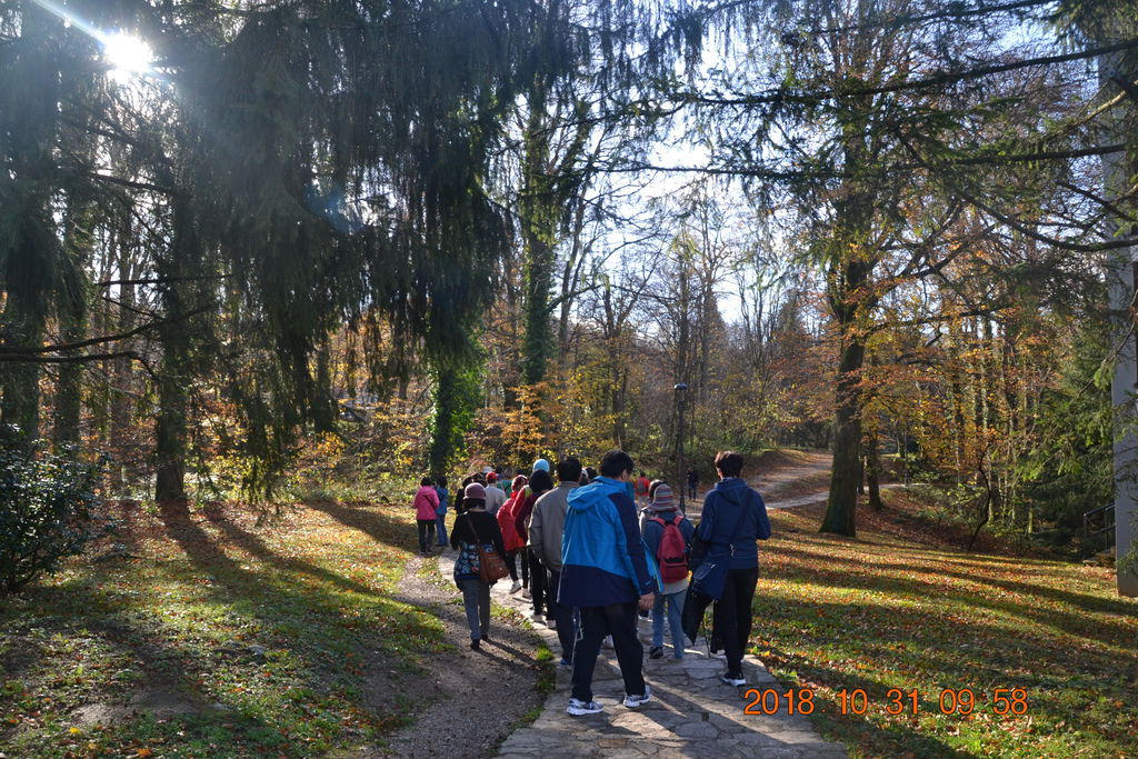 DSC_0364 DSC_0364