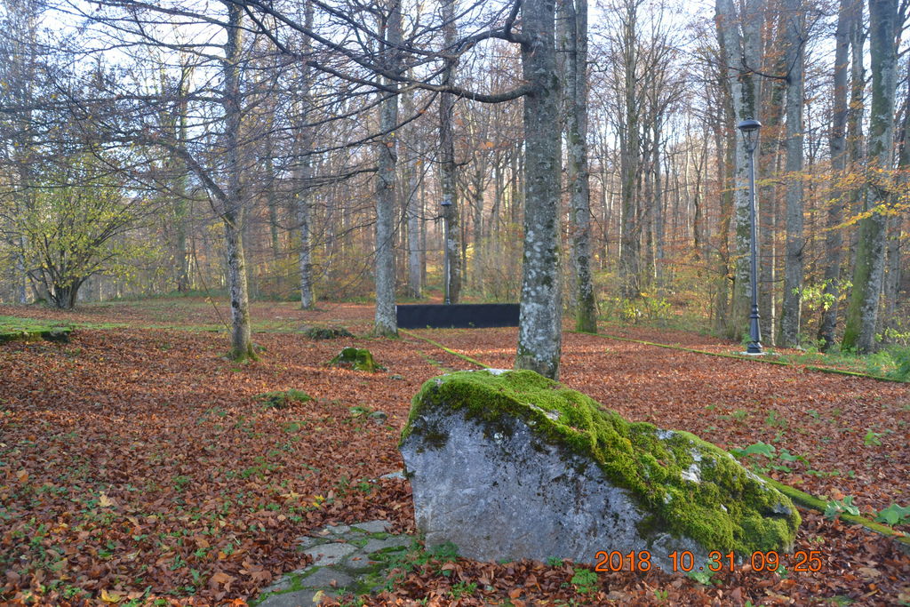 DSC_0363 DSC_0363