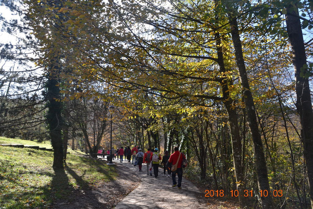 DSC_0372 DSC_0372