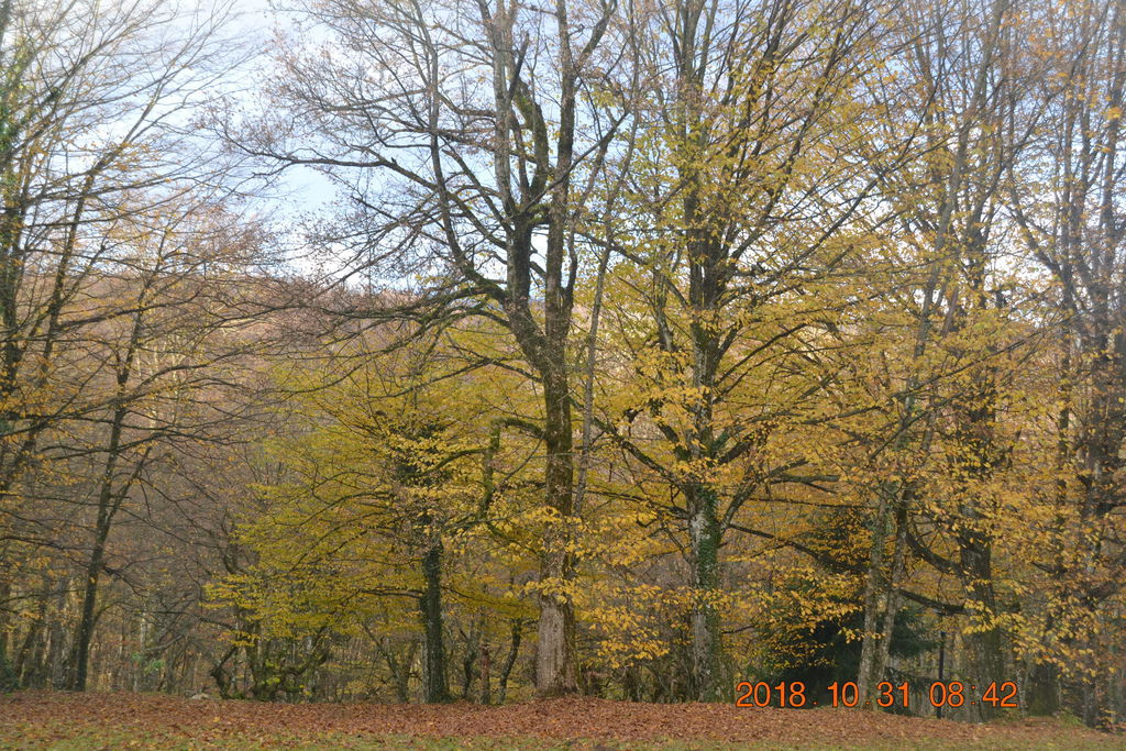 DSC_0348 DSC_0348