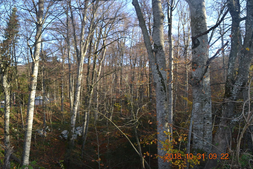 DSC_0361 DSC_0361