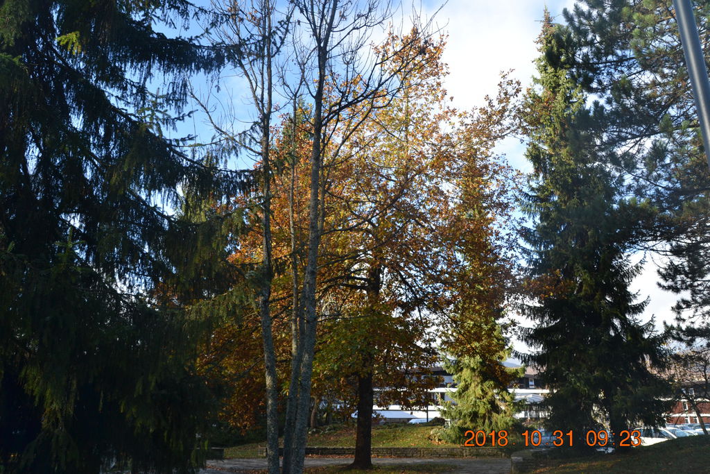 DSC_0362 DSC_0362