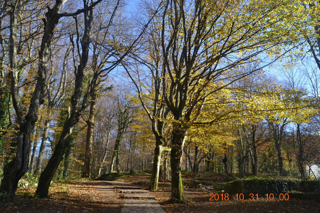 DSC_0367 DSC_0367