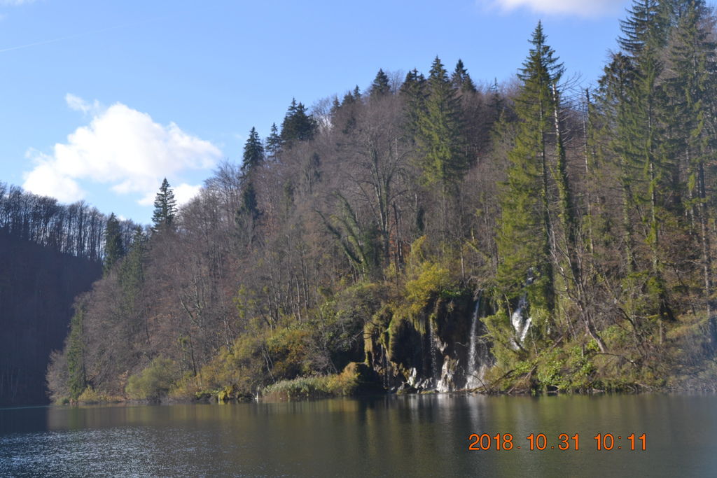 DSC_0386 DSC_0386