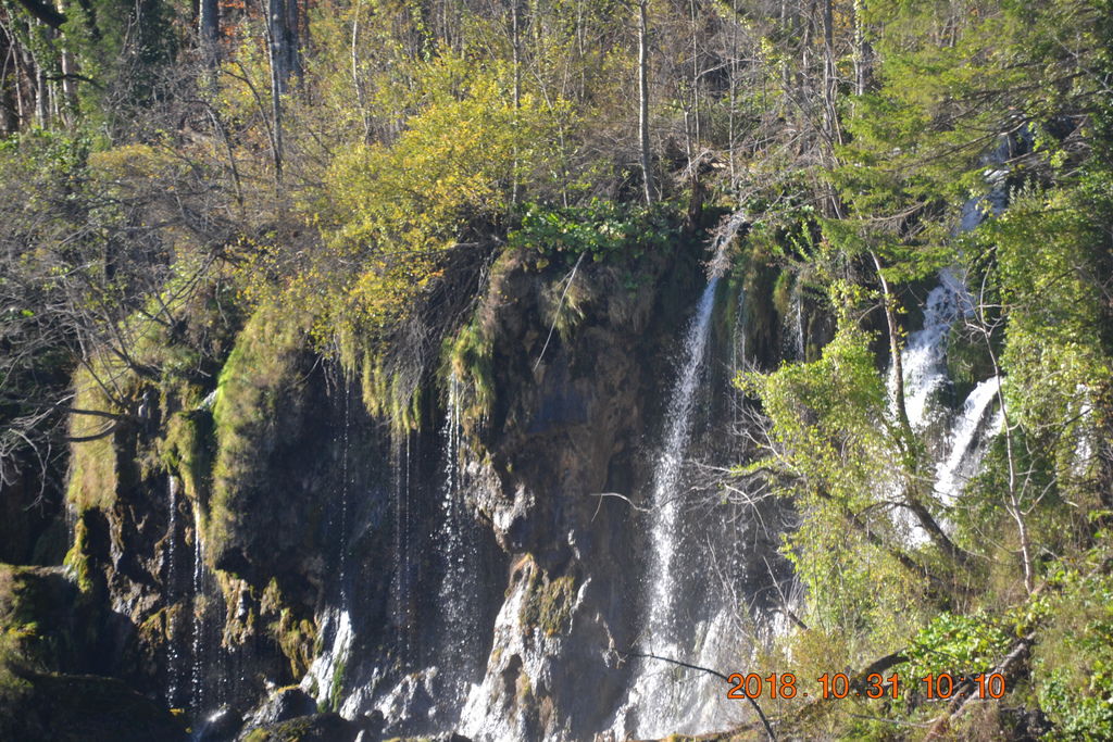 DSC_0384 DSC_0384