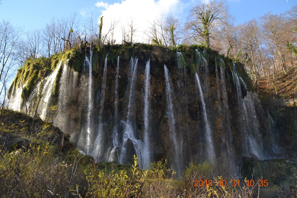 DSC_0414 DSC_0414