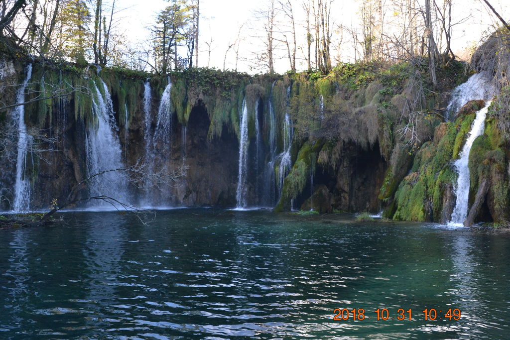 DSC_0444 DSC_0444