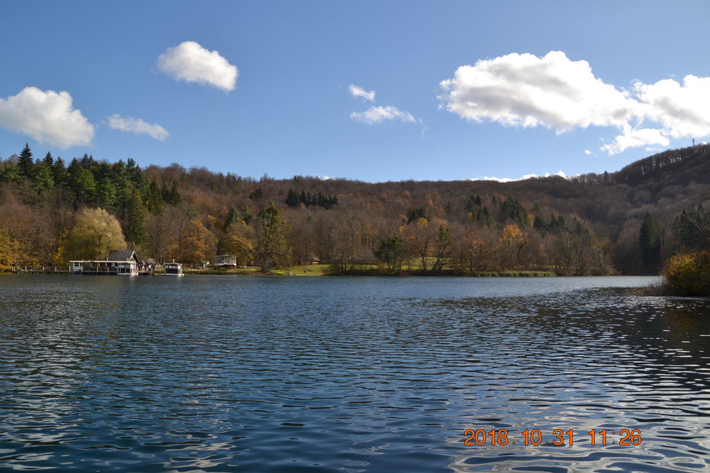 DSC_0466 DSC_0466