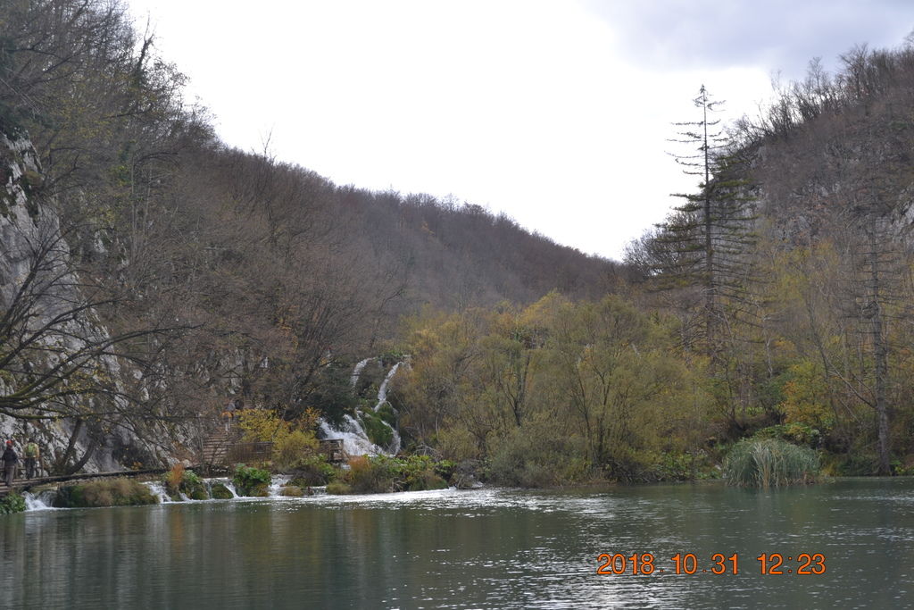 DSC_0507 DSC_0507