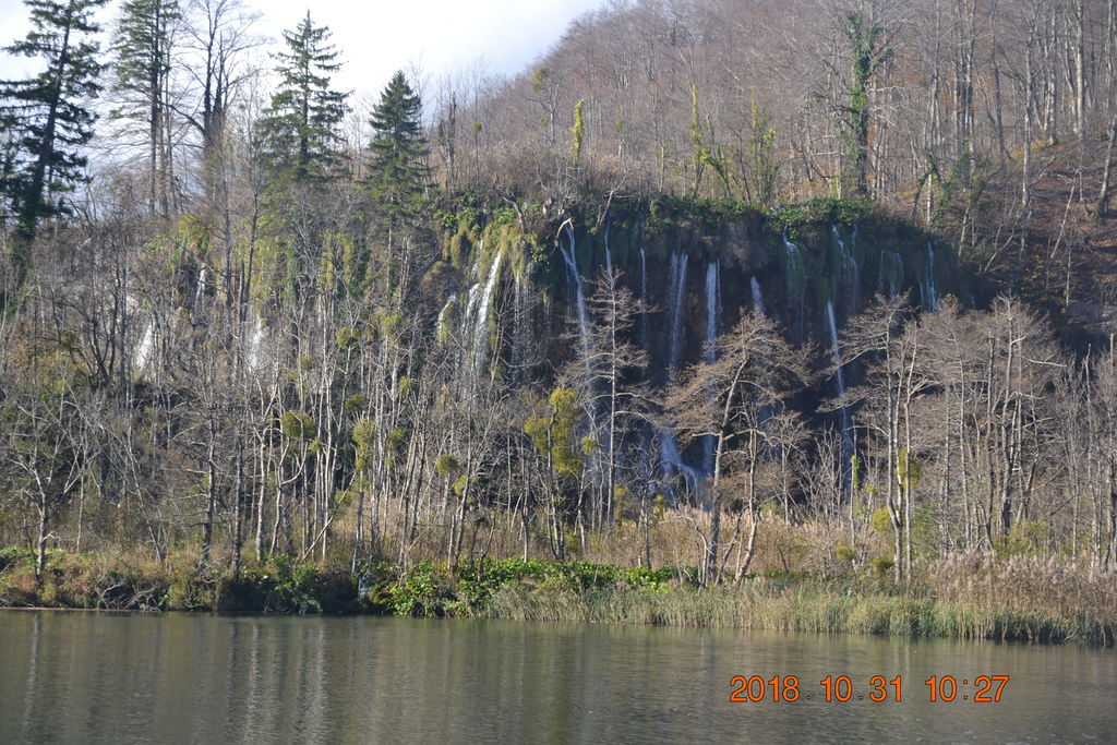 DSC_0405 DSC_0405