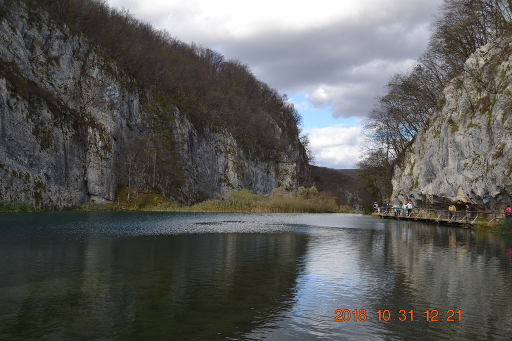 DSC_0505 DSC_0505