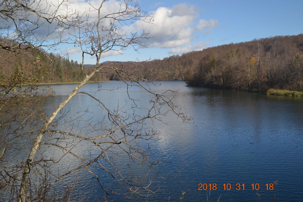 DSC_0394 DSC_0394