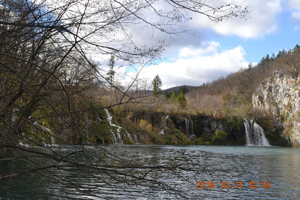 DSC_0484 DSC_0484