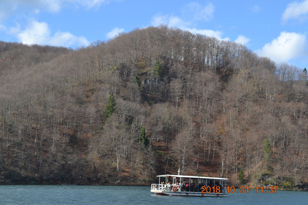 DSC_0472 DSC_0472