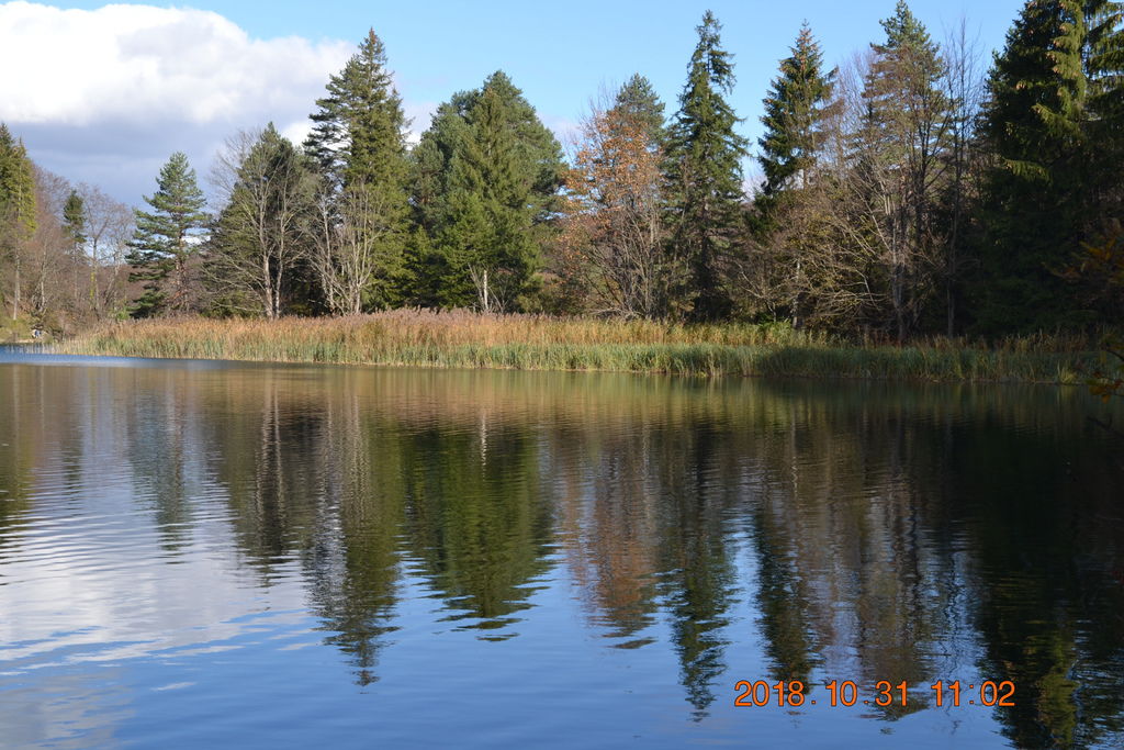 DSC_0449 DSC_0449