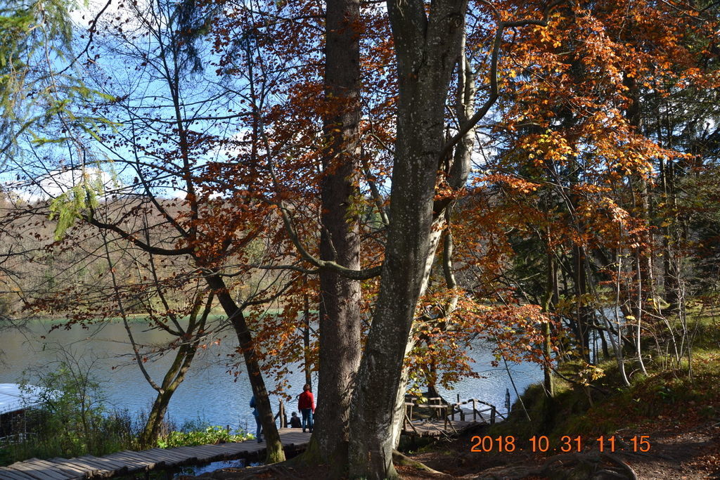 DSC_0457 DSC_0457