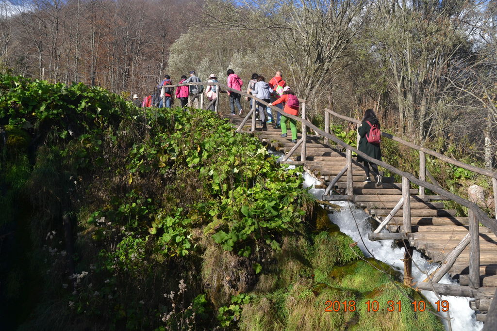 DSC_0396 DSC_0396