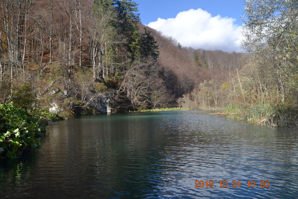 DSC_0397 DSC_0397