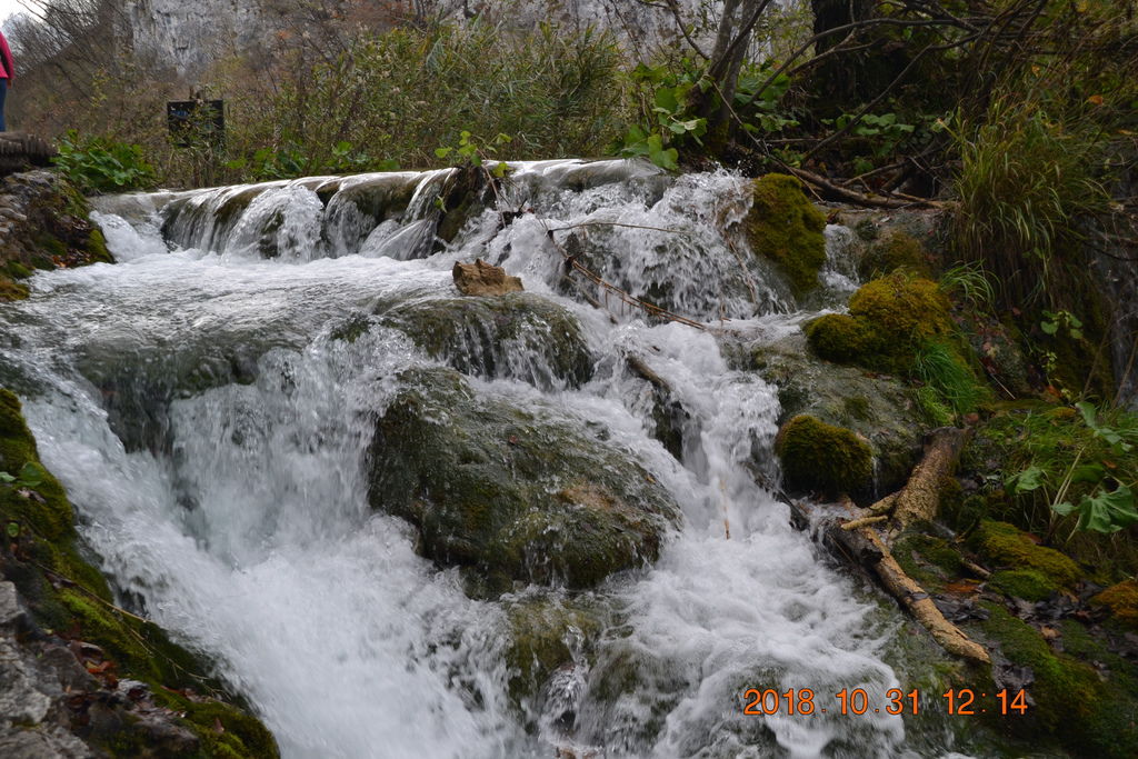 DSC_0498 DSC_0498