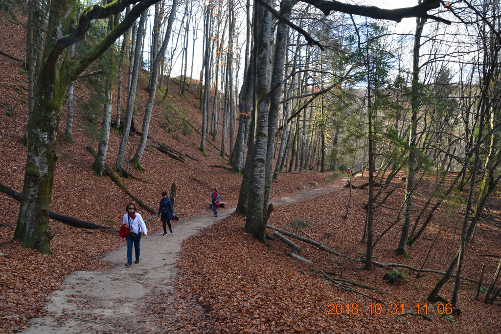 DSC_0453 DSC_0453