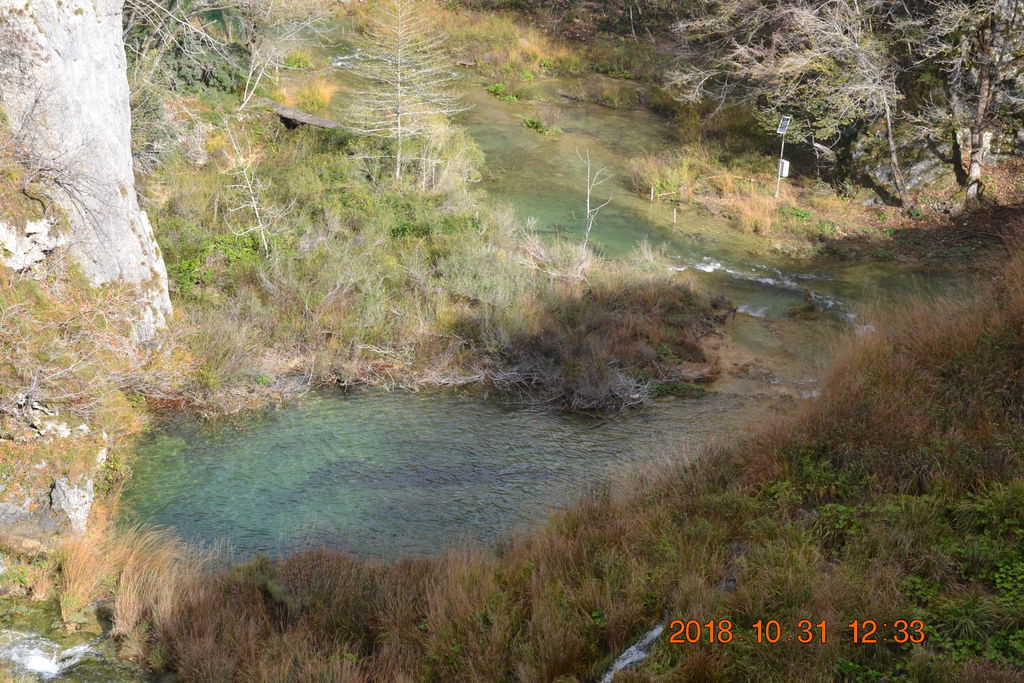 DSC_0519 DSC_0519