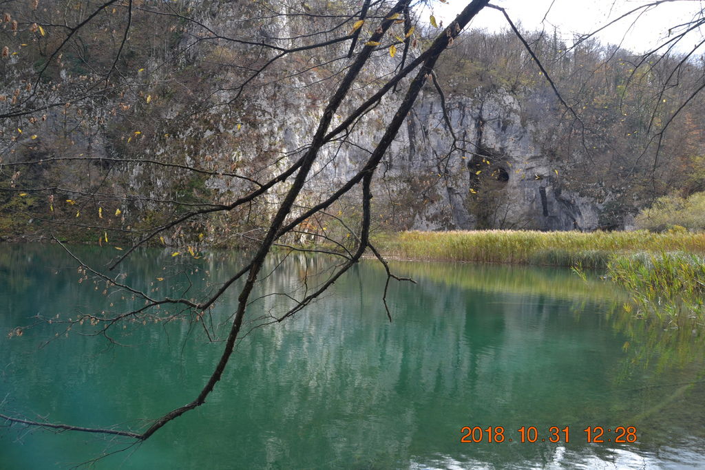 DSC_0515 DSC_0515