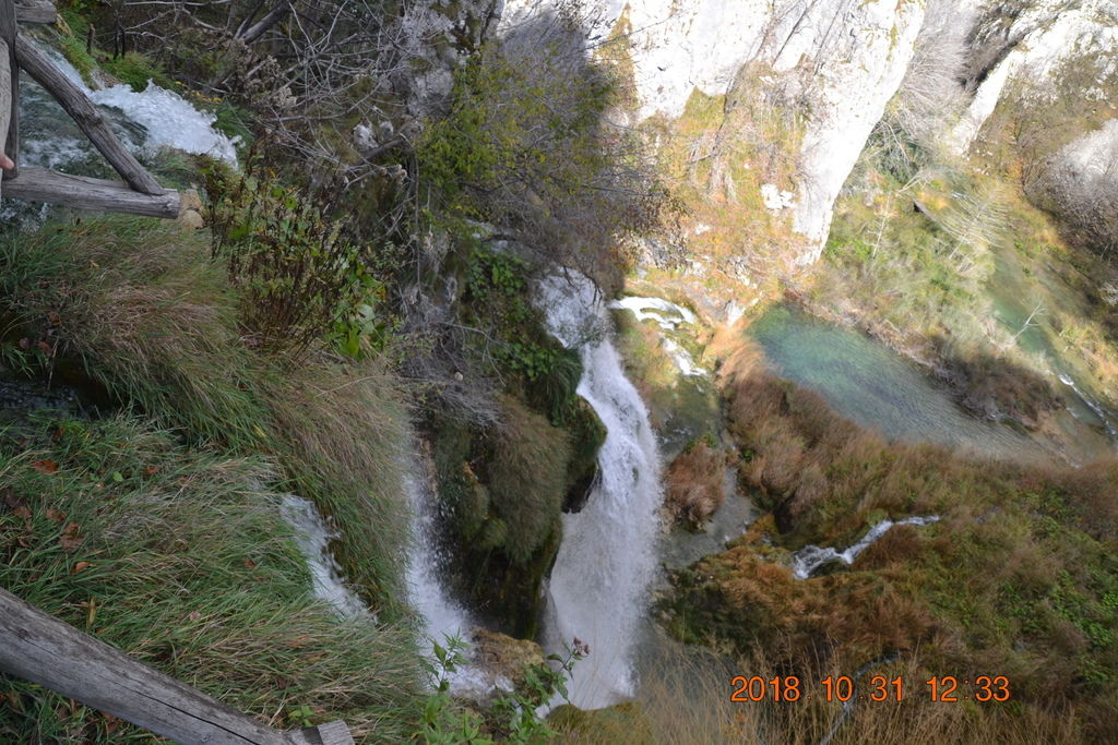 DSC_0517 DSC_0517