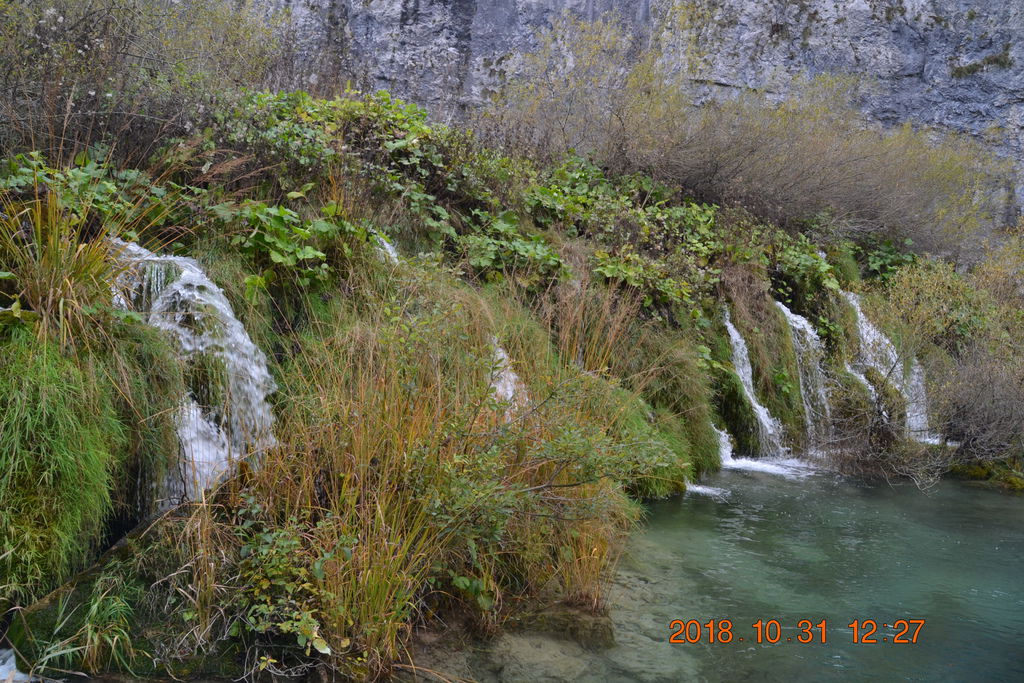DSC_0512 DSC_0512