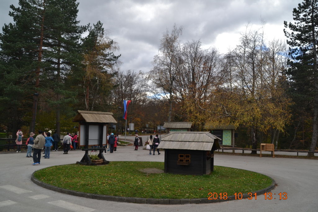 DSC_0554 DSC_0554