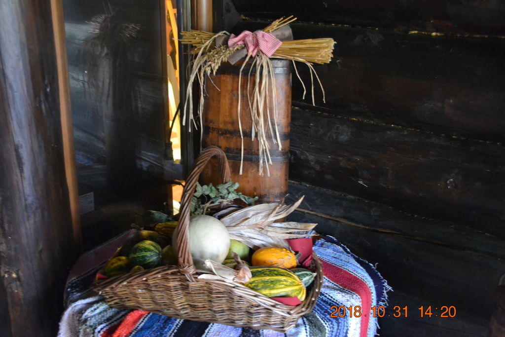 DSC_0567 DSC_0567