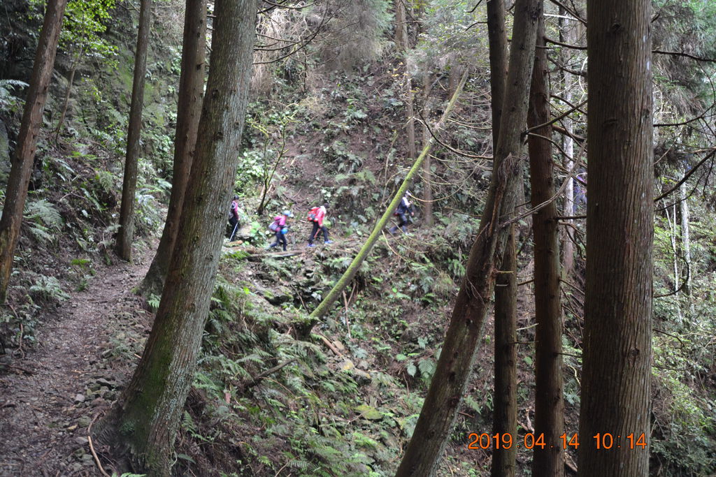 DSC_0051 DSC_0051
