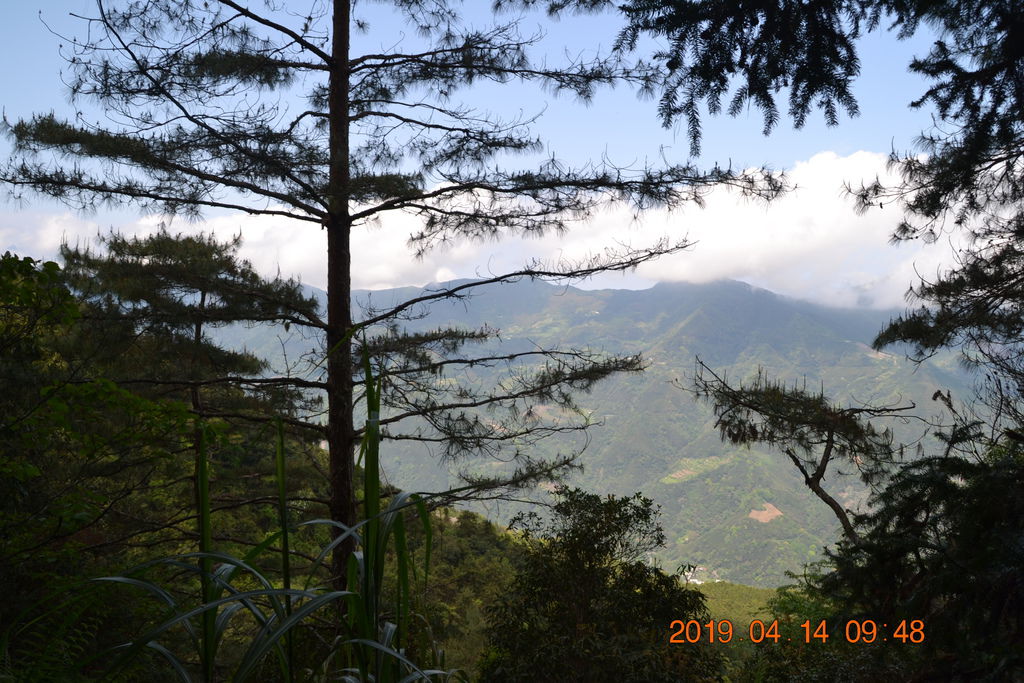 DSC_0038 DSC_0038
