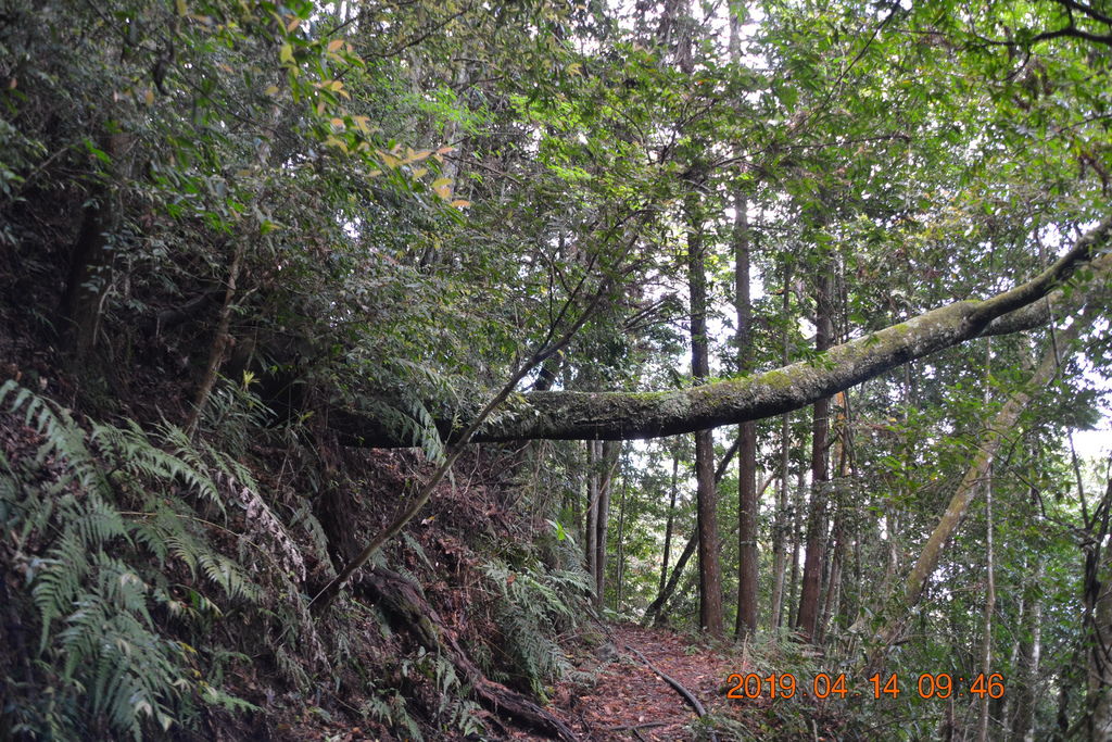 DSC_0037 DSC_0037